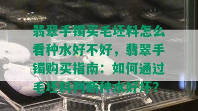 翡翠手镯买毛坯料怎么看种水好不好，翡翠手镯购买指南：如何通过毛坯料判断种水好坏？