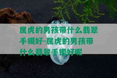 属虎的男孩带什么翡翠手镯好-属虎的男孩带什么翡翠手镯好呢