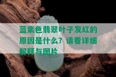 蓝紫色翡翠叶子发红的原因是什么？请看详细解释与图片