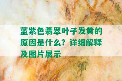 蓝紫色翡翠叶子发黄的原因是什么？详细解释及图片展示