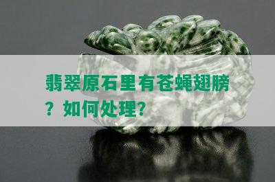 翡翠原石里有苍蝇翅膀？如何处理？