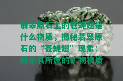 翡翠原石上的苍蝇翅是什么物质，揭秘翡翠原石的“苍蝇翅”现象：揭示其所属的矿物物质