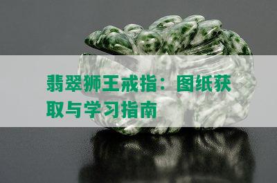 翡翠狮王戒指：图纸获取与学习指南