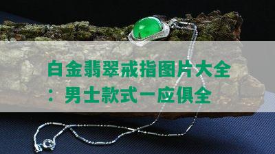 白金翡翠戒指图片大全：男士款式一应俱全