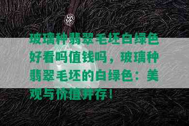 玻璃种翡翠毛坯白绿色好看吗值钱吗，玻璃种翡翠毛坯的白绿色：美观与价值并存！