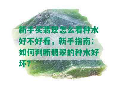 新手买翡翠怎么看种水好不好看，新手指南：如何判断翡翠的种水好坏？