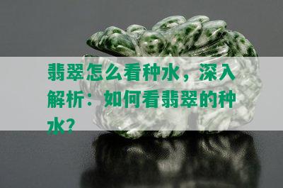 翡翠怎么看种水，深入解析：如何看翡翠的种水？