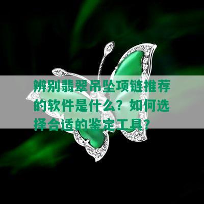 辨别翡翠吊坠项链推荐的软件是什么？如何选择合适的鉴定工具？