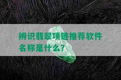 辨识翡翠项链推荐软件名称是什么？