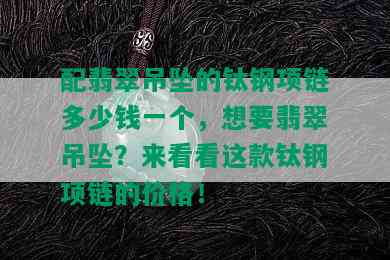 配翡翠吊坠的钛钢项链多少钱一个，想要翡翠吊坠？来看看这款钛钢项链的价格！