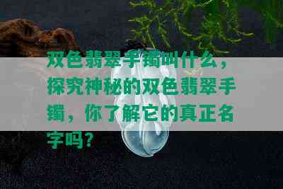 双色翡翠手镯叫什么，探究神秘的双色翡翠手镯，你了解它的真正名字吗？