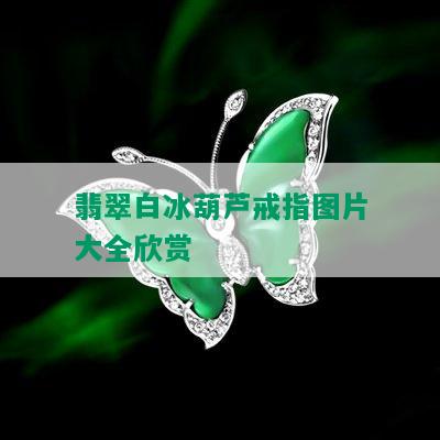 翡翠白冰葫芦戒指图片大全欣赏