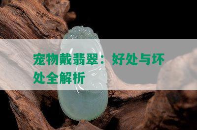 宠物戴翡翠：好处与坏处全解析