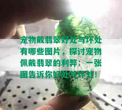 宠物戴翡翠好处与坏处有哪些图片，探讨宠物佩戴翡翠的利弊：一张图告诉你好处与坏处！