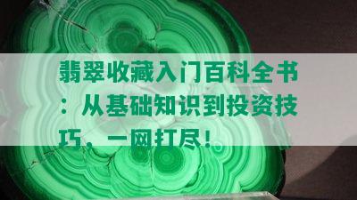 翡翠收藏入门百科全书：从基础知识到投资技巧，一网打尽！