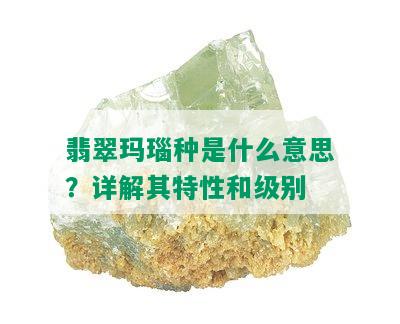 翡翠玛瑙种是什么意思？详解其特性和级别