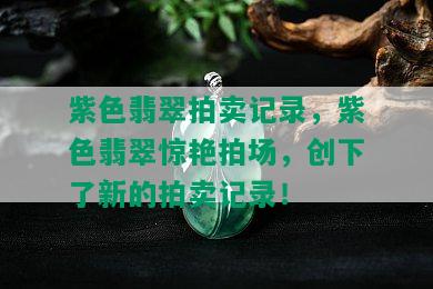 紫色翡翠拍卖记录，紫色翡翠惊艳拍场，创下了新的拍卖记录！