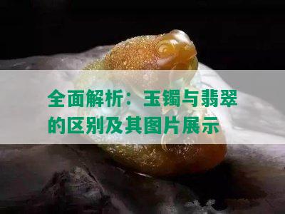 全面解析：玉镯与翡翠的区别及其图片展示