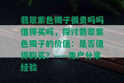 翡翠紫色镯子很贵吗吗值得买吗，探讨翡翠紫色镯子的价值：是否值得购买？——用户分享经验