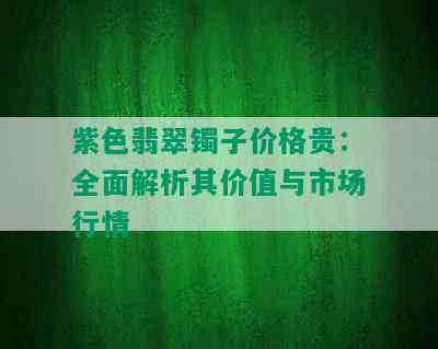 紫色翡翠镯子价格贵：全面解析其价值与市场行情