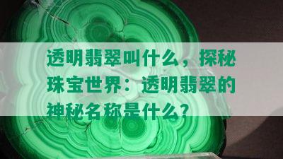 透明翡翠叫什么，探秘珠宝世界：透明翡翠的神秘名称是什么？