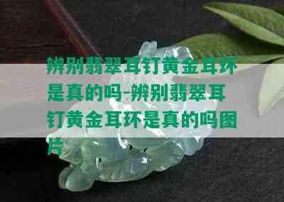 辨别翡翠耳钉黄金耳环是真的吗-辨别翡翠耳钉黄金耳环是真的吗图片