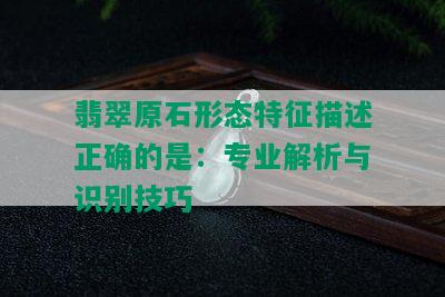 翡翠原石形态特征描述正确的是：专业解析与识别技巧