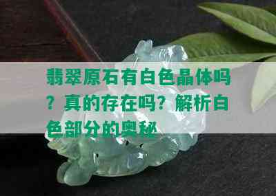 翡翠原石有白色晶体吗？真的存在吗？解析白色部分的奥秘