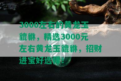 3000左右的黄龙玉貔貅，精选3000元左右黄龙玉貔貅，招财进宝好选择！