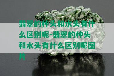 翡翠的种头和水头有什么区别呢-翡翠的种头和水头有什么区别呢图片