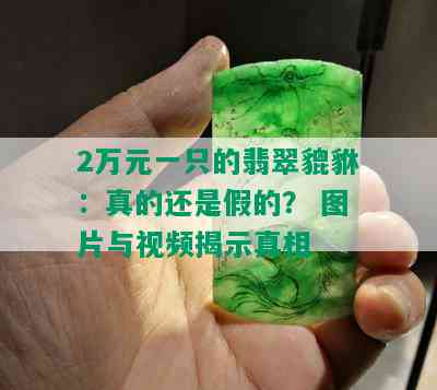 2万元一只的翡翠貔貅：真的还是假的？ 图片与视频揭示真相