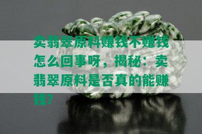 卖翡翠原料赚钱不赚钱怎么回事呀，揭秘：卖翡翠原料是否真的能赚钱？