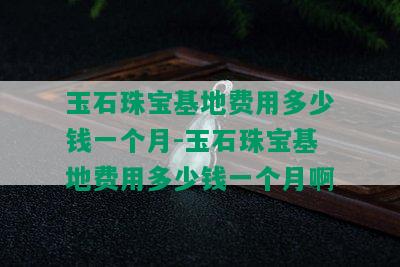 玉石珠宝基地费用多少钱一个月-玉石珠宝基地费用多少钱一个月啊