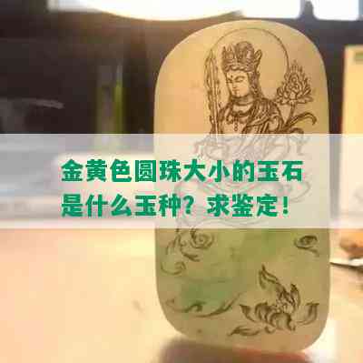 金黄色圆珠大小的玉石是什么玉种？求鉴定！