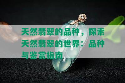 天然翡翠的品种，探索天然翡翠的世界：品种与鉴赏指南