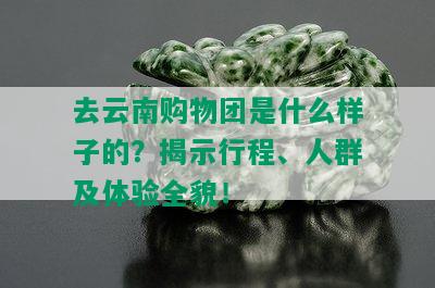 去云南购物团是什么样子的？揭示行程、人群及体验全貌！