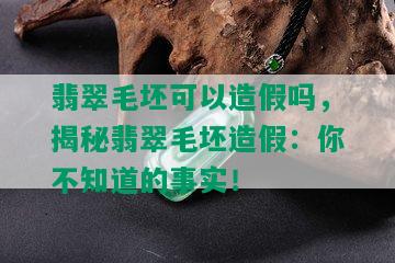 翡翠毛坯可以造假吗，揭秘翡翠毛坯造假：你不知道的事实！