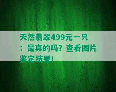 天然翡翠499元一只：是真的吗？查看图片鉴定结果！