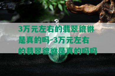 3万元左右的翡翠貔貅是真的吗-3万元左右的翡翠貔貅是真的吗吗