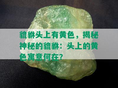 貔貅头上有黄色，揭秘神秘的貔貅：头上的黄色寓意何在？