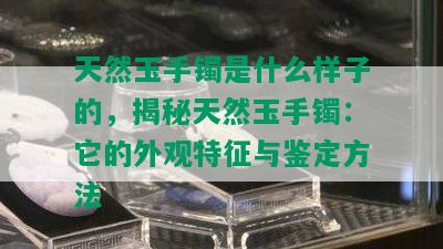 天然玉手镯是什么样子的，揭秘天然玉手镯：它的外观特征与鉴定方法