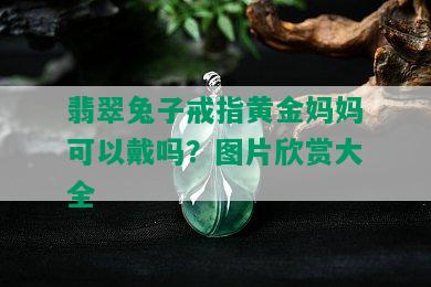 翡翠兔子戒指黄金妈妈可以戴吗？图片欣赏大全