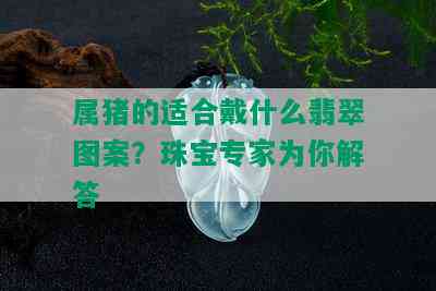 属猪的适合戴什么翡翠图案？珠宝专家为你解答