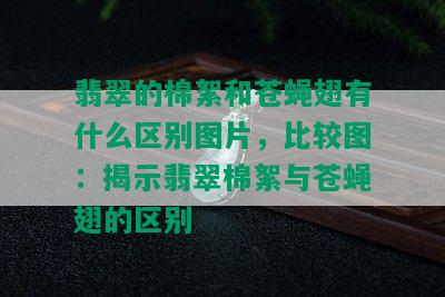 翡翠的棉絮和苍蝇翅有什么区别图片，比较图：揭示翡翠棉絮与苍蝇翅的区别