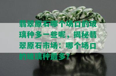 翡翠原石哪个场口的玻璃种多一些呢，揭秘翡翠原石市场：哪个场口的玻璃种最多？