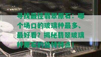 寻找更佳翡翠原石：哪个场口的玻璃种最多、更好看？揭秘翡翠玻璃种原石的独特特点！