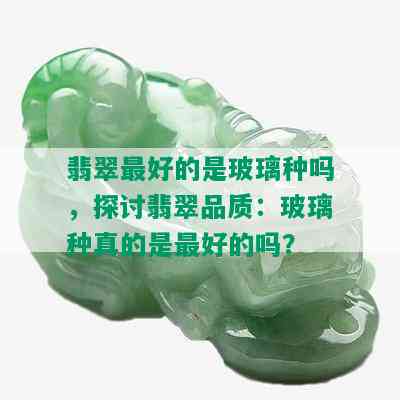 翡翠更好的是玻璃种吗，探讨翡翠品质：玻璃种真的是更好的吗？