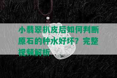 小翡翠扒皮后如何判断原石的种水好坏？完整视频解析