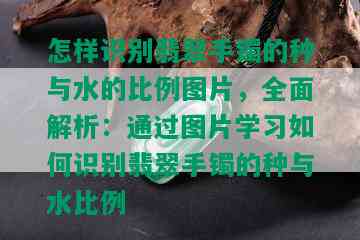 怎样识别翡翠手镯的种与水的比例图片，全面解析：通过图片学习如何识别翡翠手镯的种与水比例