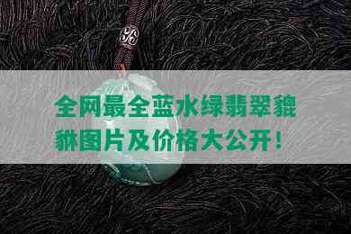 全网最全蓝水绿翡翠貔貅图片及价格大公开！